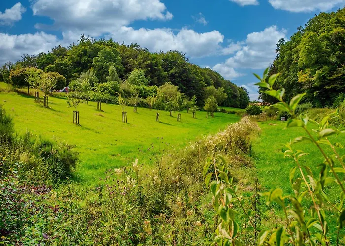 Eifel-camp Freilinger 캠프장 Freilingen (North Rhine-Westphalia)